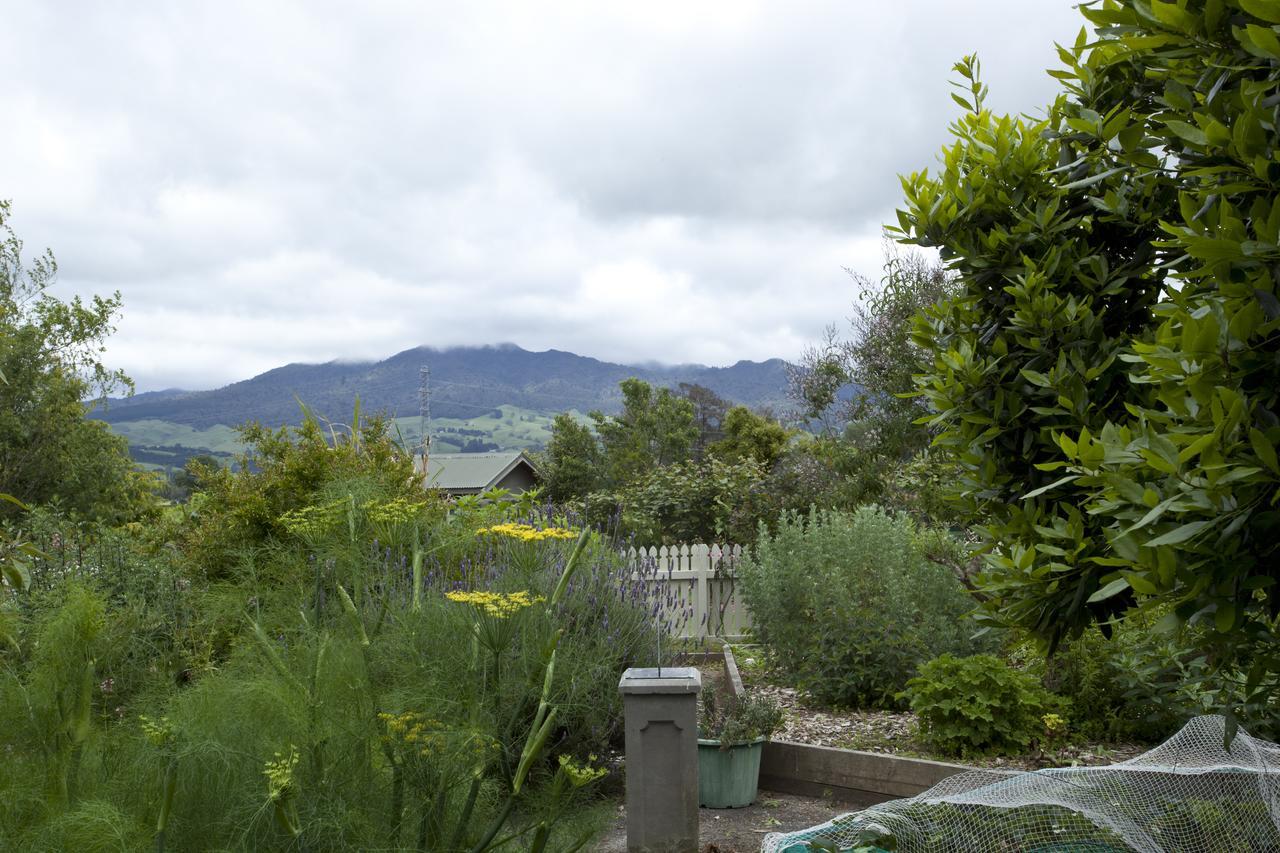 Highgate Bed And Breakfast & Garden Pirongia Eksteriør billede